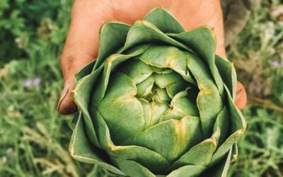 Mit Vorfreude ins neue Jahr – Ackerperlen stellt sich neu auf