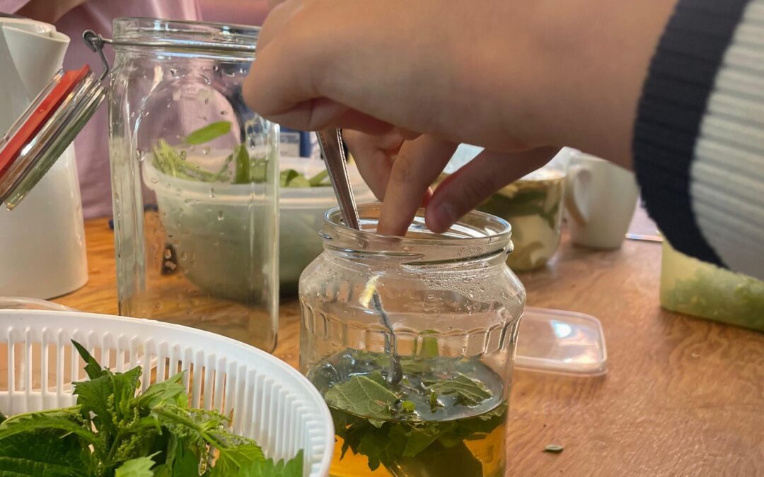 Hexen, Kräuter & Zaubertränke – Ferienprogramm voller Naturzauber