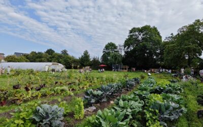 Lernen auf dem Perlenacker