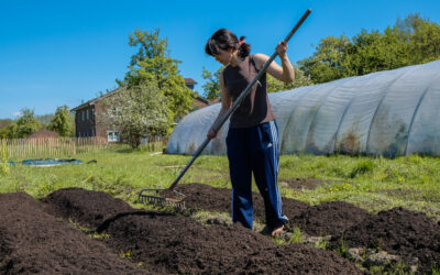 Wärme von unten – Saisonstart mit Mistbeet