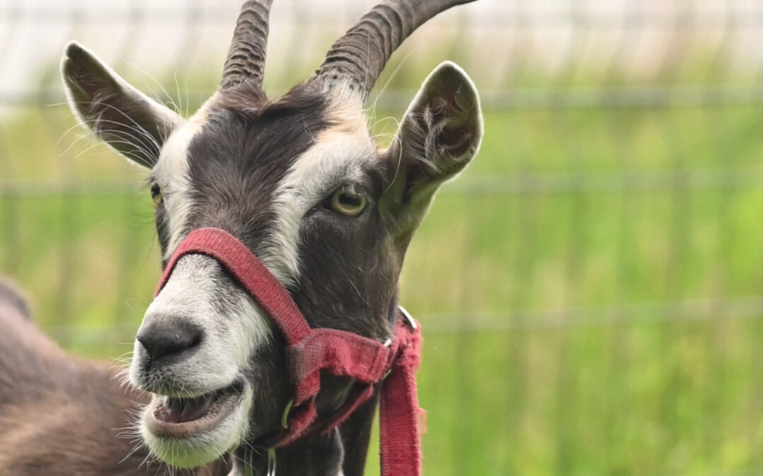 Endlich wieder Saison!