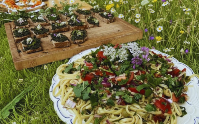 Boden ist Tisch – Natur-Workshop in Hamburg