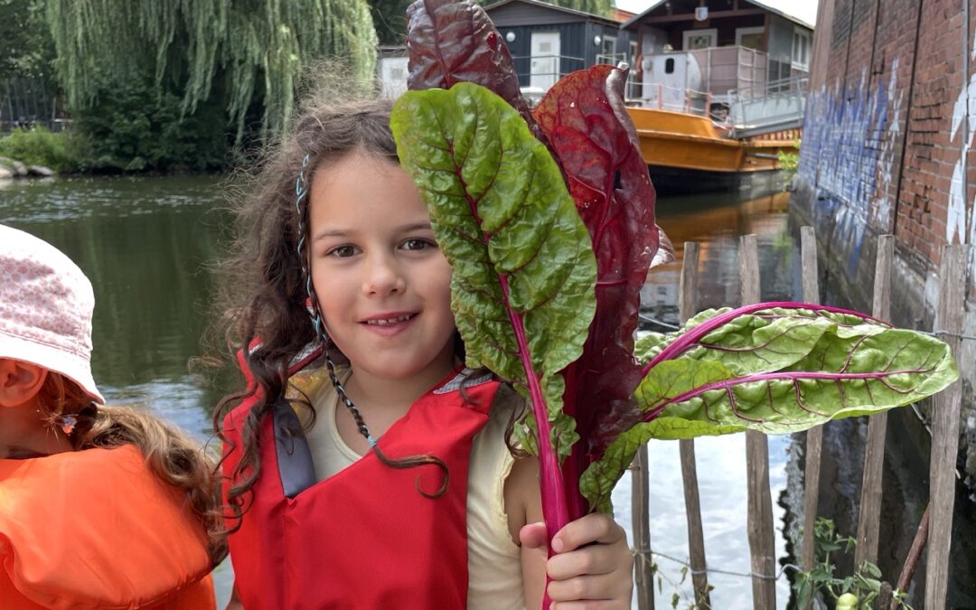 Kind hält frisch geernteten Mangold beim Klimaströme-Festival 2026.