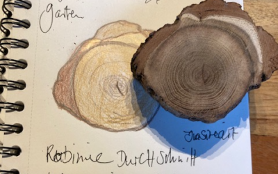 Nature Journaling – Natur erforschen mit Skizzen und Notizen